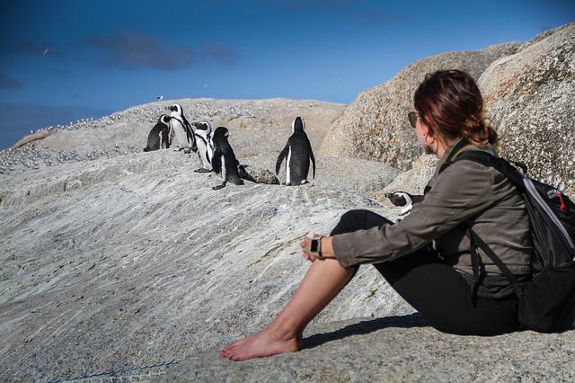 ペンギンと女性の画像